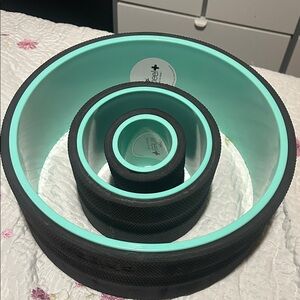 Mint and Black Chirp Wheels